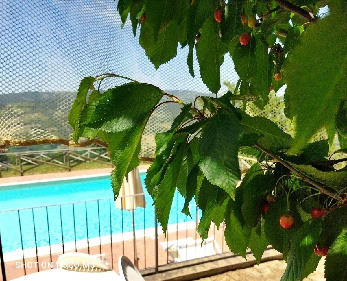 Poggio Al Vento Guest House Castiglione d'Orcia Bagian luar foto