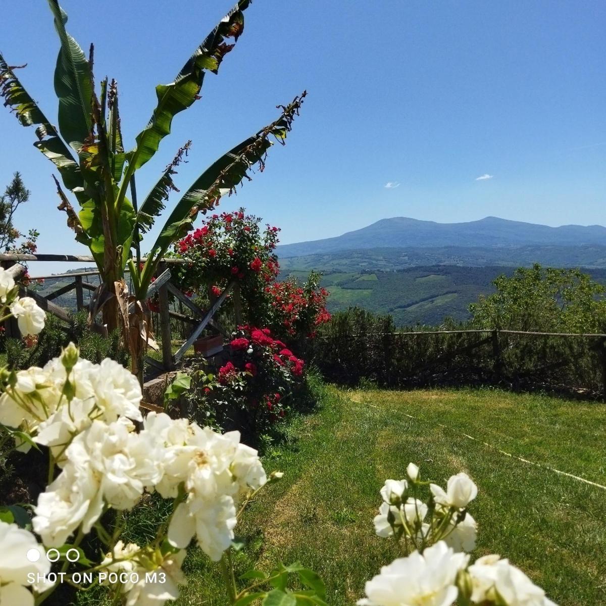 Poggio Al Vento Guest House Castiglione d'Orcia Bagian luar foto